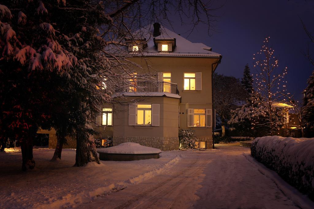 Apartments Villa Boltez Kranj Dış mekan fotoğraf
